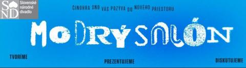 modry_salon.jpg