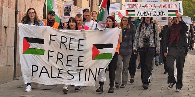 Free palestine 3 320